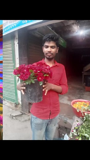 Al Amine AL Amin (@al.amine.al.amin4080)’s videos with original sound - did