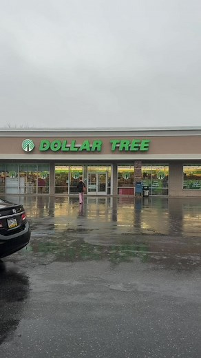 Buscando decoracion de navidad en dollar tree. #dollartree #christmasdecor #dollartreechristmasdecor | Sandra Escobar