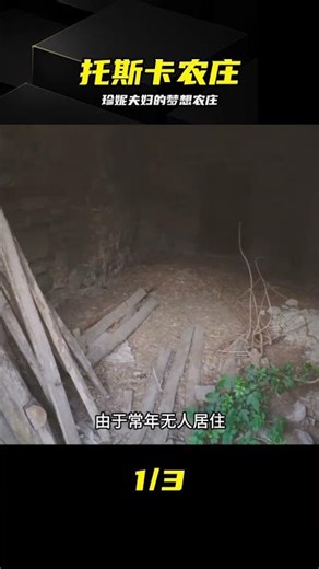 珍妮夫婦的托斯卡農莊廢棄變豪宅，治愈感拉滿 #房屋改造 #托斯卡纳 #旧房改造 #废弃农庄 #珍妮夫妇 #解压