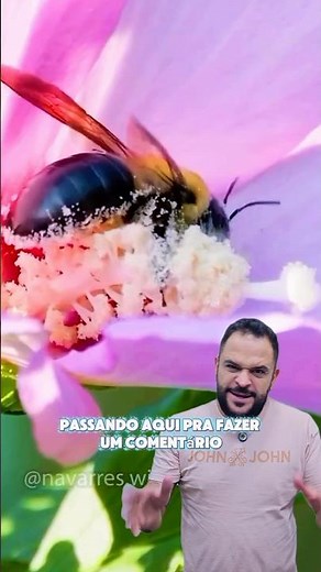POLLINATION