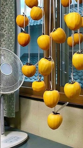 時短 干し柿の作り方 室内 干柿 扇風機 干柿 #干柿の作り方