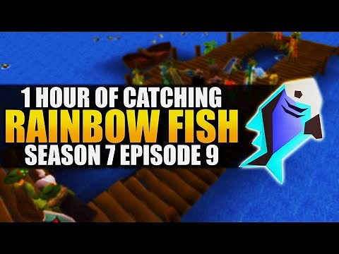 Catching Rainbow Fish | Testing OSRS Wiki Money Making Methods | Money Making Guide 2022