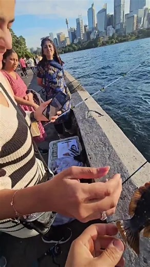 Funny Fishing Moments and Releasing Fish | Hilarious Invoice Sent!