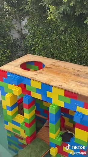 Quarantine obstacle course challenge 😂@realcartersharer | carter sharer