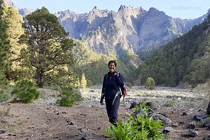 Why is connecting with nature is so profoundly healing?