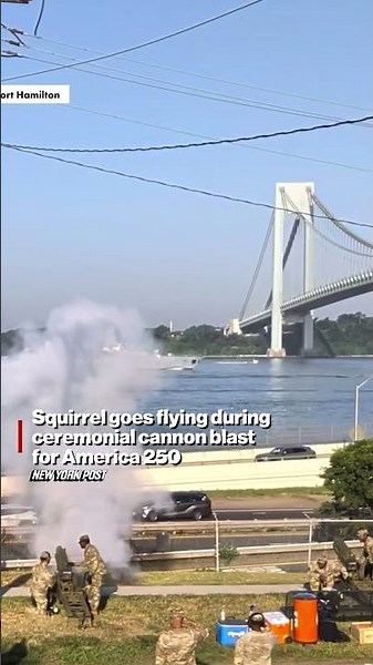Squirrel goes flying during cannon blast for America 250, but sticks impressive landing #shorts