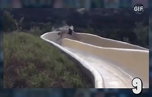 721K views · 6.4K shares | Weekly TOP 10 GIF :v | GIFs | Facebook