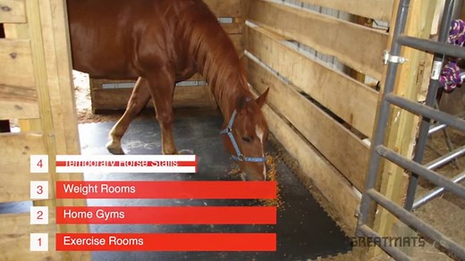 Gary & Sally Browns Greatmats Story - Foam Tiles for Basement Gym