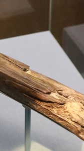 Possibly more than 400,000 years old, the Clacton Spear is an early hominid artifact uncovered at Clacton-on-Sea, England. Carved from yew wood and shaped to a point, it is considered the oldest known worked wooden tool. Its dimensions are 38.7 × 3.9 × 3.9 cm (15.2 × 1.5 × 1.5 in). Now held by the Natural History Museum in London, the spear was found in 1911 by Samuel Warren. Special thanks: Geni, CC BY-SA 4.0 We make our content for people like you. You can keep us going by following, sharing, 