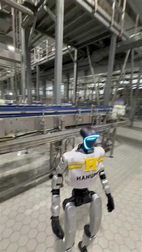 Introducing Hanu-Bot: Our Newest Family Member