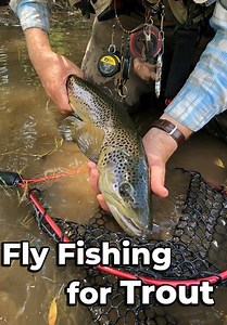 Fly Fishing for Trout (2005)