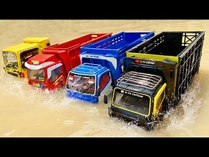The Story of Oleng Truck Racing Swimming Aa Zafran Truck, Eternal Revelation Truck and Oleng Spiderm