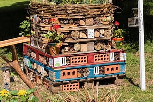Step By Step Guide On Creating a Bug Hotel | Kebur