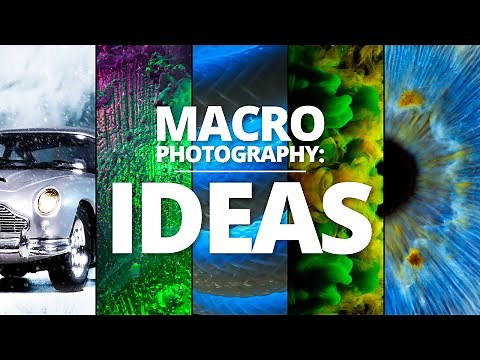 AMAZING Macro Photography Ideas to try in 2024
