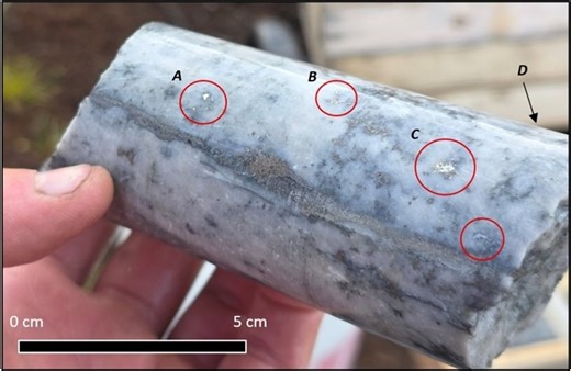 Forge Resources Intercepts 105 g/t Au in the Payoff Zone at Alotta Project, Yukon