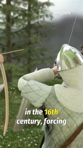 From Ancient Hunt to Modern Precision: Bow Evolution