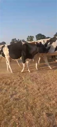 MAC Agric College of choice | Mlezu Agricultural College