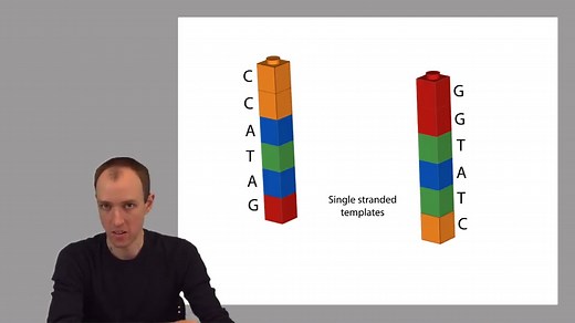 DNA测序算法-生物信息学基础课程-The Johns Hopkins University-约翰霍普金斯大学cs系-bowtie作者BenLangmead