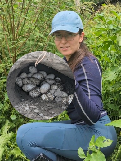 Las iguanas y el mal agüero: supersticiones populares