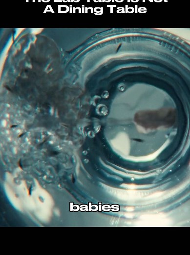 Understanding Alien Creatures in 'Alien Earth' Series