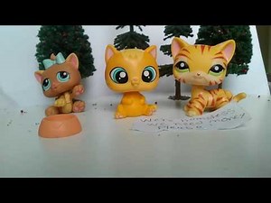 LPS - The Homeless Family