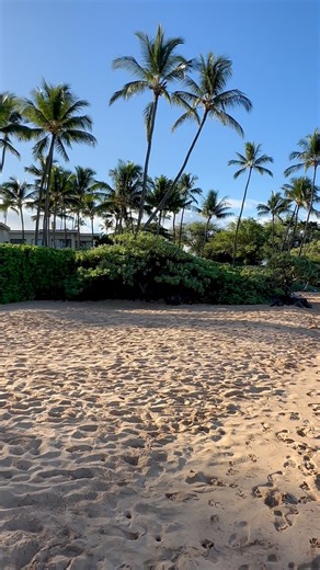 1.6K views · 1.3K reactions | Mokapu Beach ️ Maui, Hawaii  | Adam Hancock | Facebook
