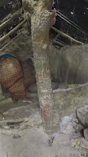 500-Year-Old Himalayan Water Mill Never Sleeps! Grinding Corn & Wheat While the Miller Rests #viral