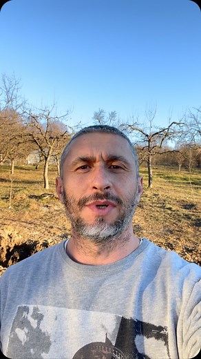 Tratamentul de iarna al pomilor fructiferi și Tehnopolis de Neil Postman. | Bucurii la tara
