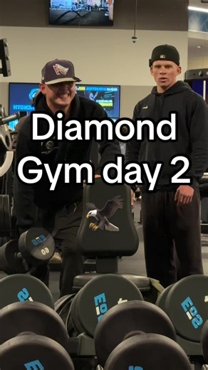 Day 2 Workout at Diamond Gym: Back and Biceps Routine