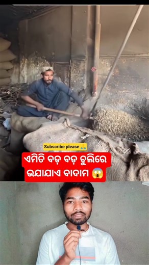 ଦେଖନ୍ତୁ କେମିତି ଭଜା ହଉଛି ବଦମ୍ 😱 / #facts #shorts #viralvideo #youtubeshorts #odiafacts