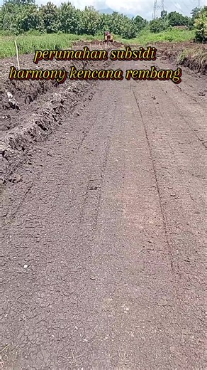 lokasi strategis 0 jln Rembang Pasuruan cm bayar utj saja free biaya semuanya cicilan 1 jt an flat sampai lunas #kprsubsidi #perumahansubsidibangil #rumahsubsidipemerintah #viral #semuaorang