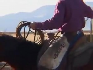 Rawhide Braider - TS Ranch Battle Mtn, NV | Ranch World Ads