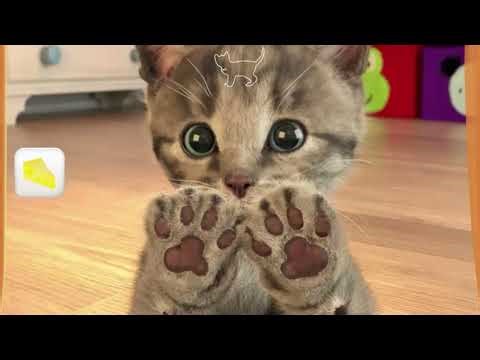 STORY OF CUTE LITTLE KITTEN ADVENTURE - NAUGHTY KITTY MADE A PUDDLE - SPECIAL NEW KITTY VIDEO