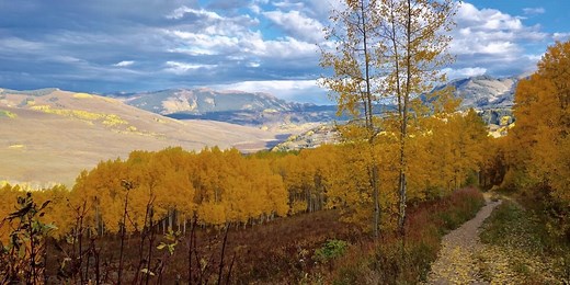 Crested Butte Trails: Snodgrass Mountain