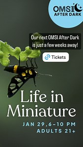 Oregon Museum of Science and Industry (OMSI) on Reels | Facebook