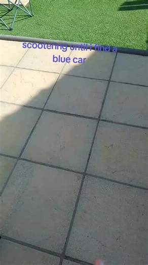 @socky/sock puppet this account had to be changed because I got locked out of the tagged account #fyp