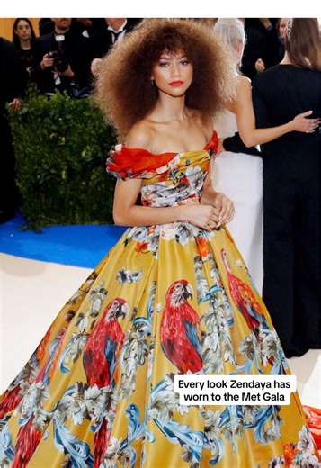 Zendaya's Stunning Met Gala Looks Through the Years