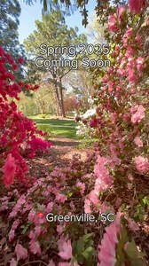 10K views · 123 reactions | Currently loading : Spring 2025 in Greenville, SC Find all Spring events here: bit.ly/2GzZ97M #VisitGreenvilleSC #SpringInTheSouth | VisitGreenville SC | Facebook