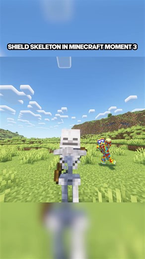 Epic Shield Skeleton Meme Moments in Minecraft