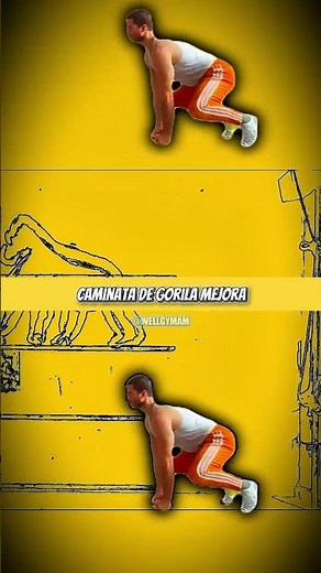 🐻 4 functional exercises to boost body strength and improve overall mobility 🔥