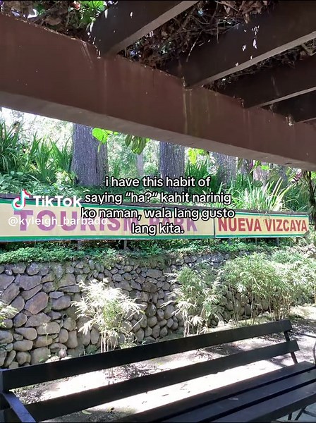 Understanding the Habit of Saying 'Ha?' in Conversations