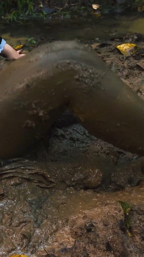 My foot is covered in mud