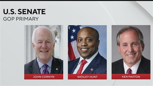Crowded primaries set the stage for high‑stakes US Senate race in Texas
