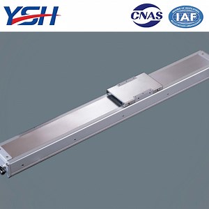 [Hot Item] High Precision 100W Linear Module with Power Ball Screw Technology