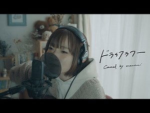 ドライフラワー / 優里【Covered by マナミ】
