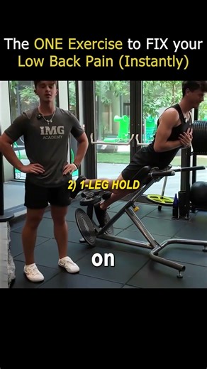 The ONE Exercise to FIX your Low Back Pain Instantly @lowbackability