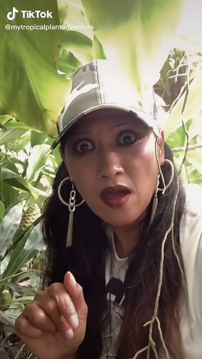 MyTropicalPlantAdventures on TikTok