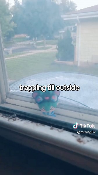 #fypシ #edit #trend #fypage #fyp