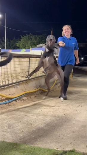 Greyhound Racing Group 🍾🧑‍🤝‍🧑