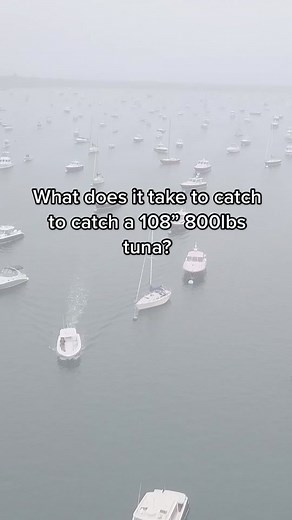 Catching a 108” 800lbs Tuna: An Unforgettable Fishing Trip